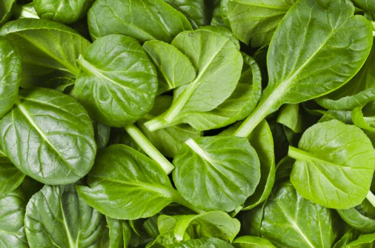 10 healthiest foods on the planet