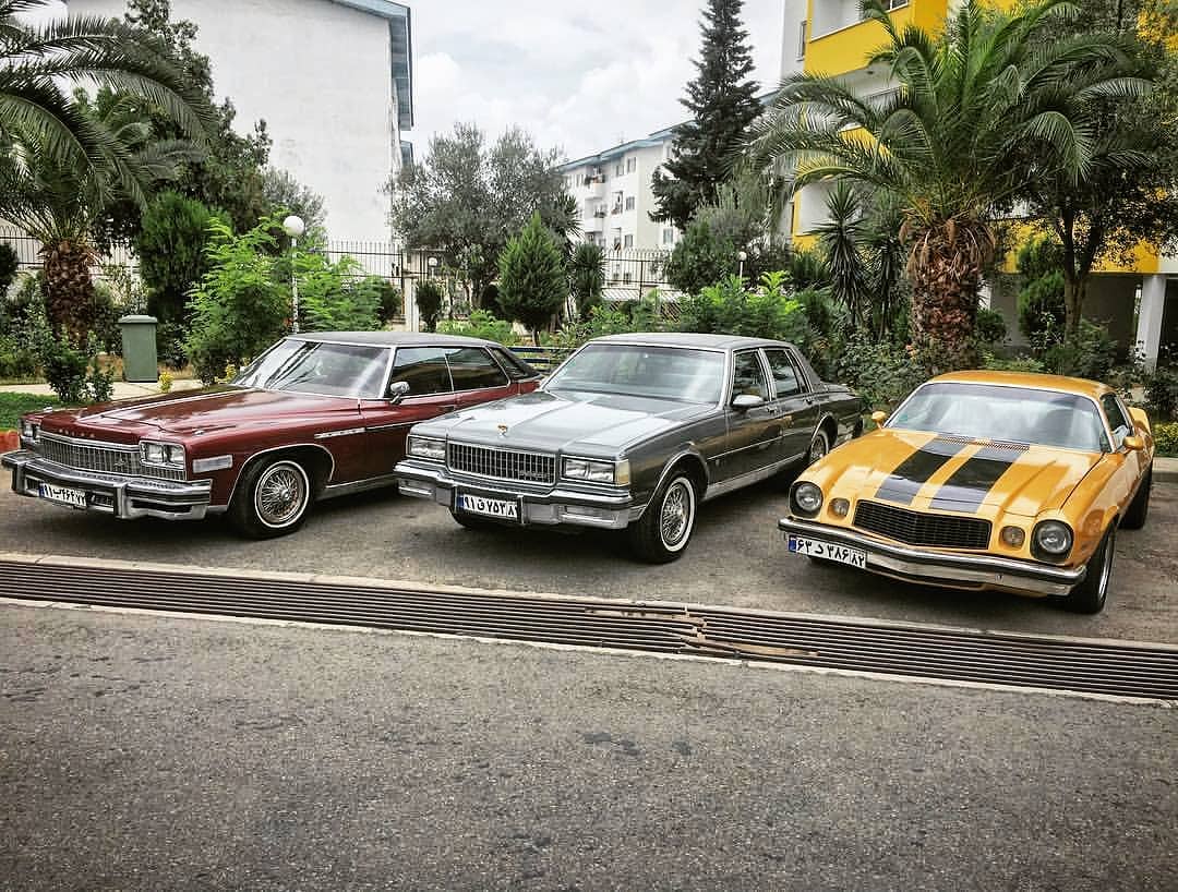 Collection of vintage Muscle cars in the capital