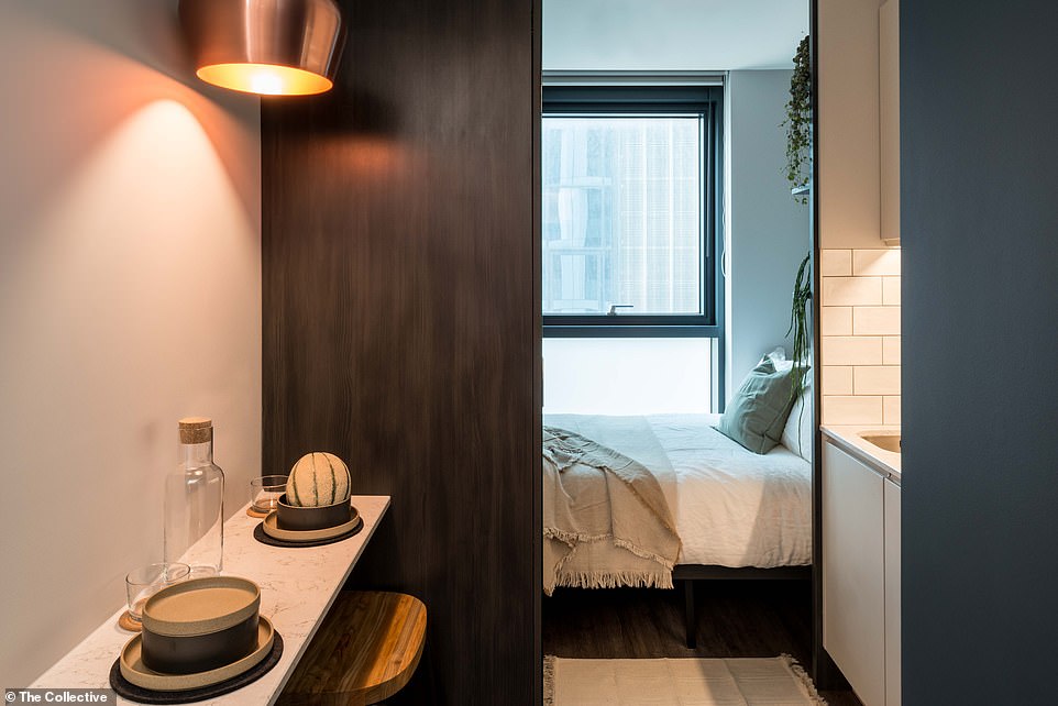 Affordable, luxury co-living apartments in London