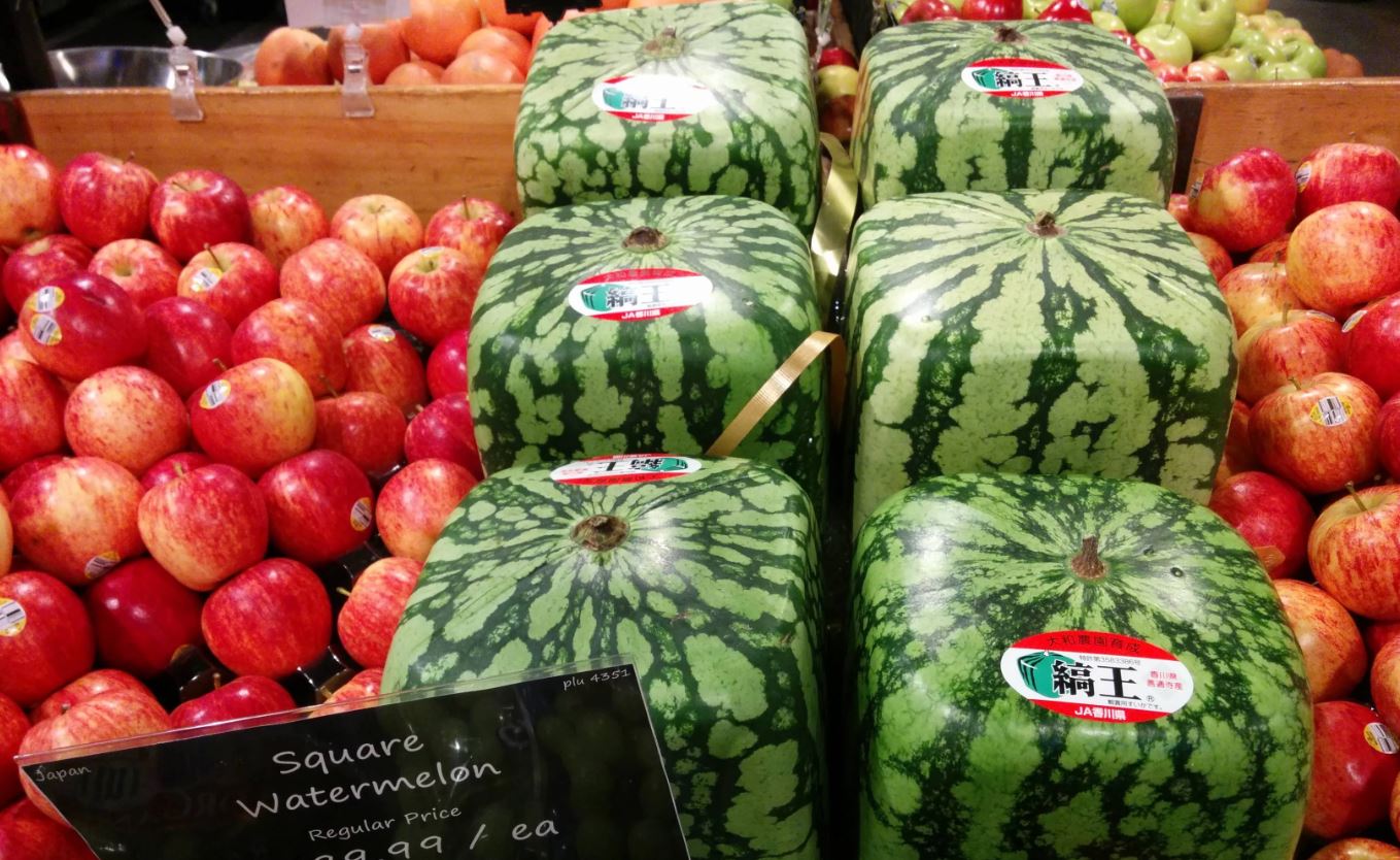 Weird things that only exist in Japan