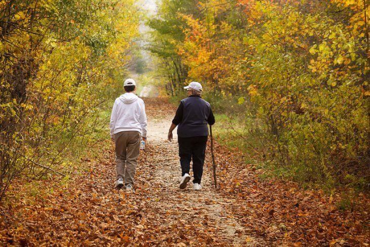 Notable benefits of doing daily long walks